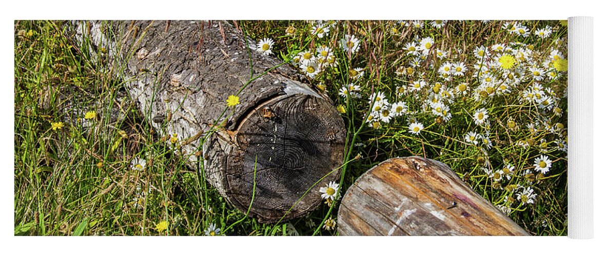 Bark Yoga Mat featuring the photograph Wildflowers with Logs by Roslyn Wilkins