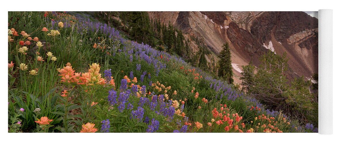 Landscape Yoga Mat featuring the photograph Wildflowers with Twin Peaks at Sunset by Brett Pelletier