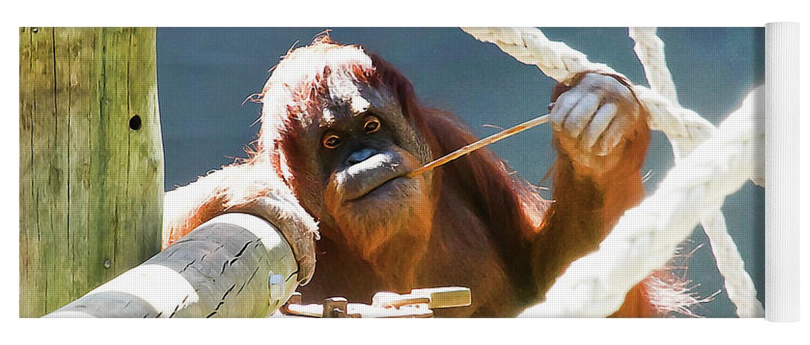 Orangutan Yoga Mat featuring the photograph Willow Enjoyes Honey by Miroslava Jurcik