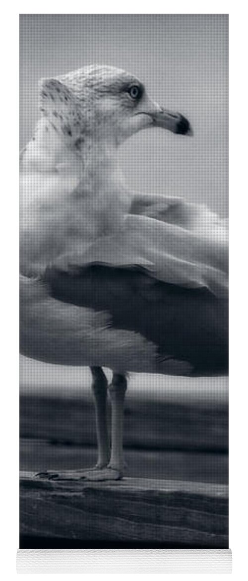 Birds Yoga Mat featuring the photograph Windy Day Seagull by Ella Kaye Dickey
