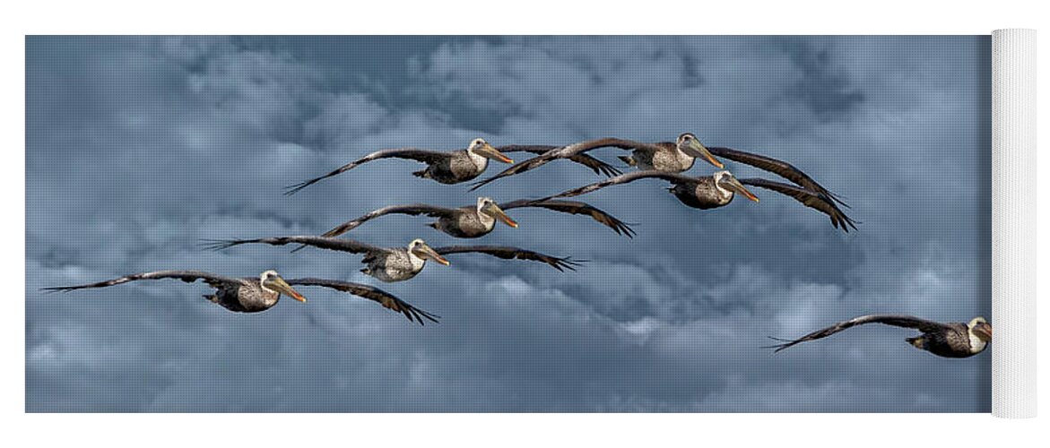 Birds Yoga Mat featuring the photograph Wings In Formation by DB Hayes