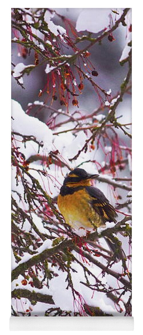 Bird Yoga Mat featuring the photograph Winter bird by Jean Evans