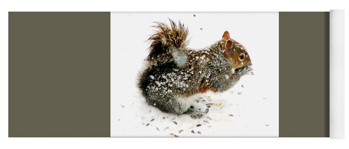 Squirrel Yoga Mat featuring the photograph Winter Buffet by Angela Davies