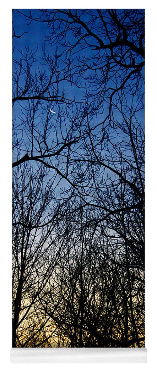 Dark Yoga Mat featuring the photograph Winter Crescent Moon by Karen Adams