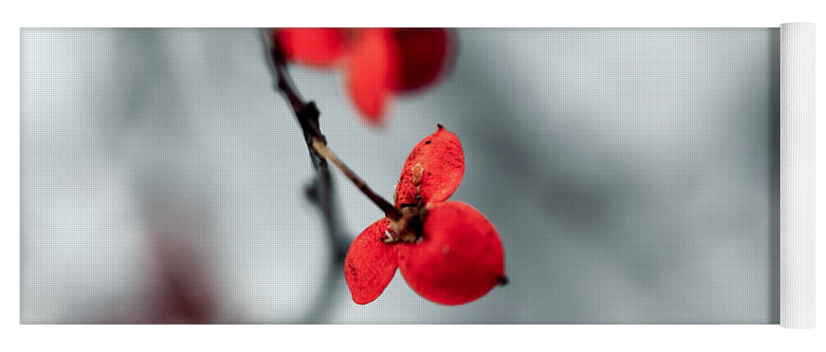 Red Yoga Mat featuring the photograph Winter Flower by Todd Klassy