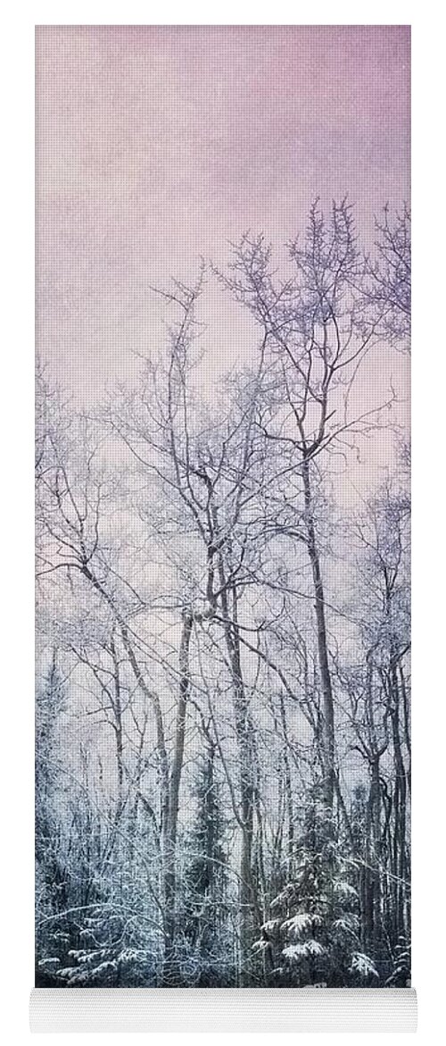Forest Yoga Mat featuring the photograph Winter Forest by Priska Wettstein