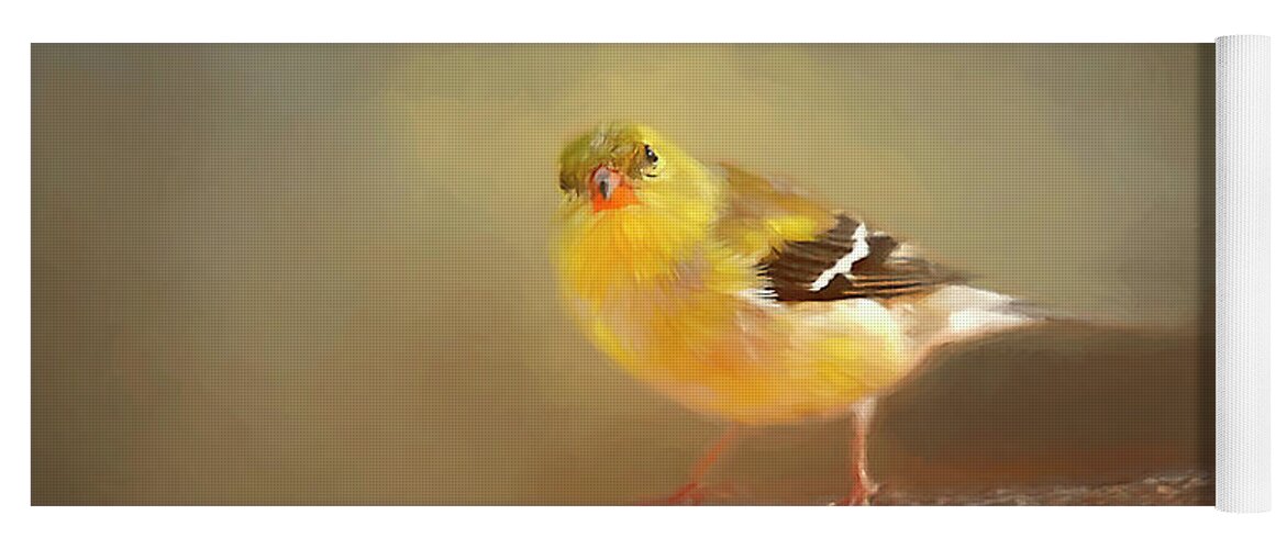 Winter Goldfinch Yoga Mat featuring the photograph Winter Goldfinch by Darren Fisher