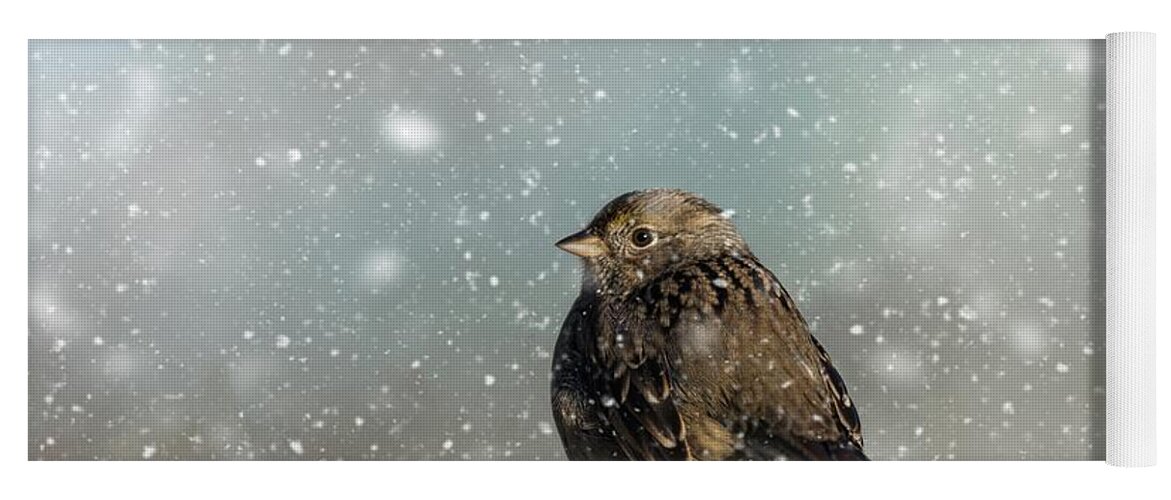 Golden-crowned Sparrow Yoga Mat featuring the photograph Winter Morning by Eva Lechner