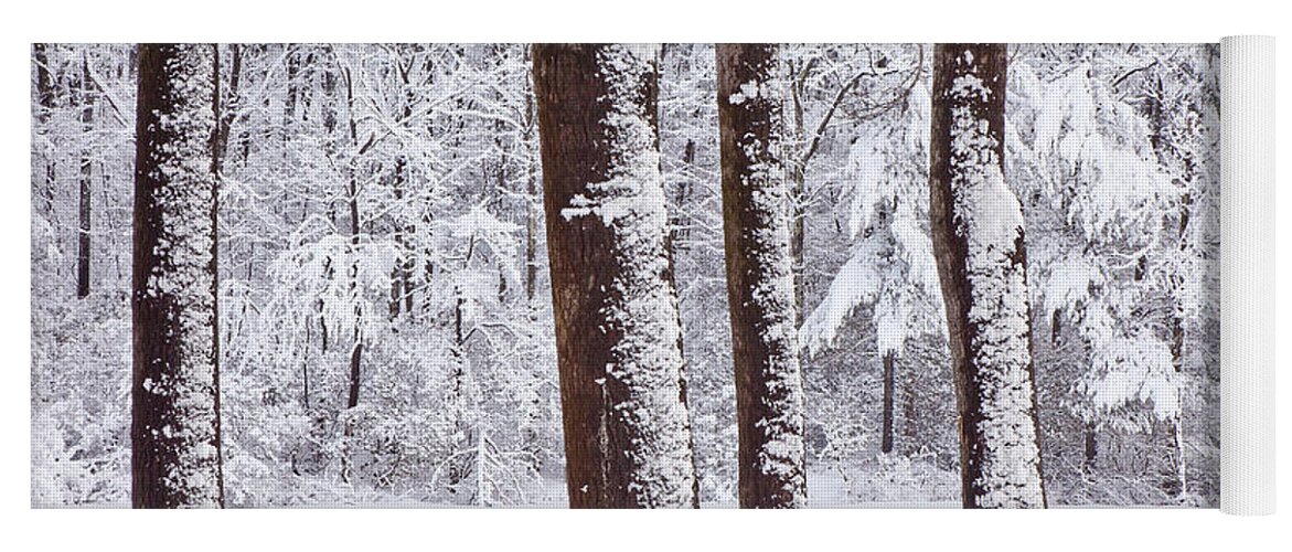 February Yoga Mat featuring the photograph Winter on Paradise Pond by Susan Cole Kelly
