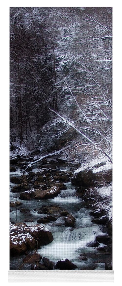 Privacy Yoga Mat featuring the photograph Winter Photography by Lisa Lambert-Shank