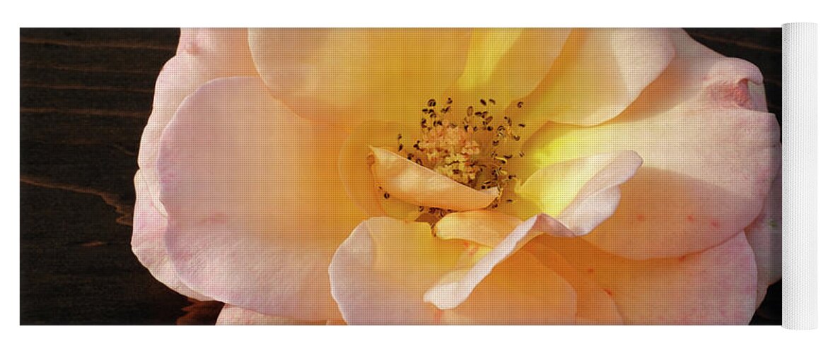 Winter Rose Yoga Mat featuring the photograph Winter Salmon Rose on Antique Wood by Kathy Anselmo