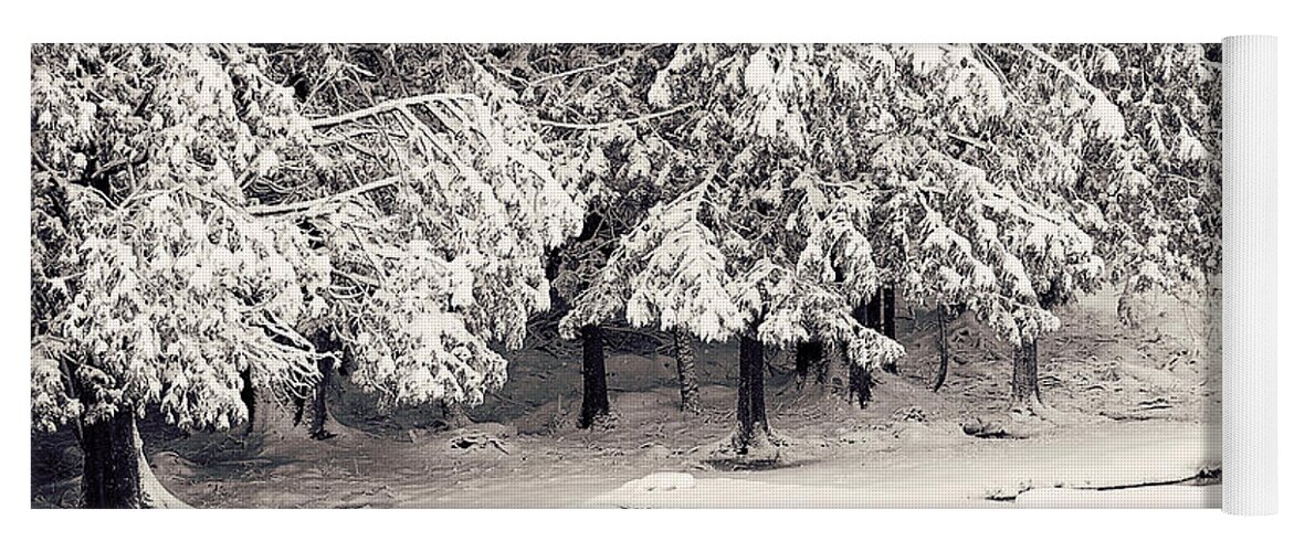 Winter Scenic Print Yoga Mat featuring the photograph Winter Scene Black and White Print by Gwen Gibson