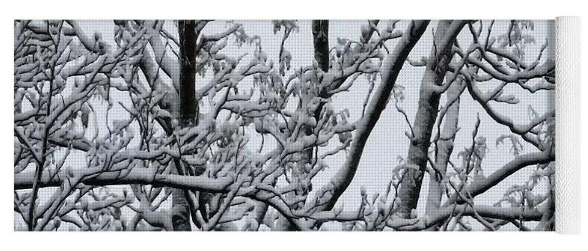 Ice Yoga Mat featuring the photograph Winter Sky through Snow Branches by Vic Ritchey