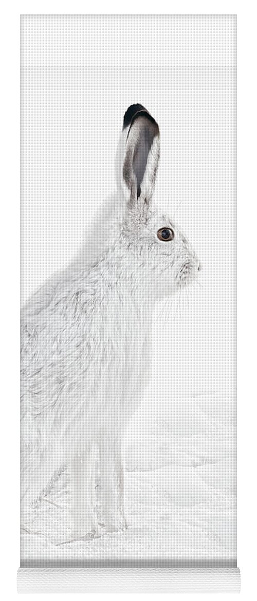 Snowshoe Hare Yoga Mat featuring the photograph Winter Snowshoe Hare by Jennie Marie Schell
