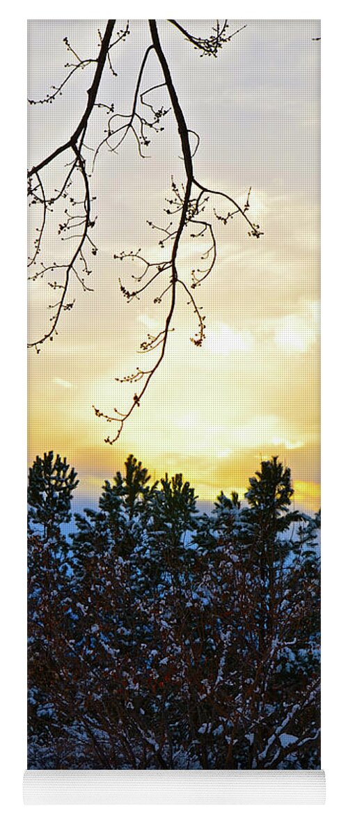 Winter Sunset Yoga Mat featuring the photograph Winter Sunset on the Tree Farm #2 by Cindy Schneider