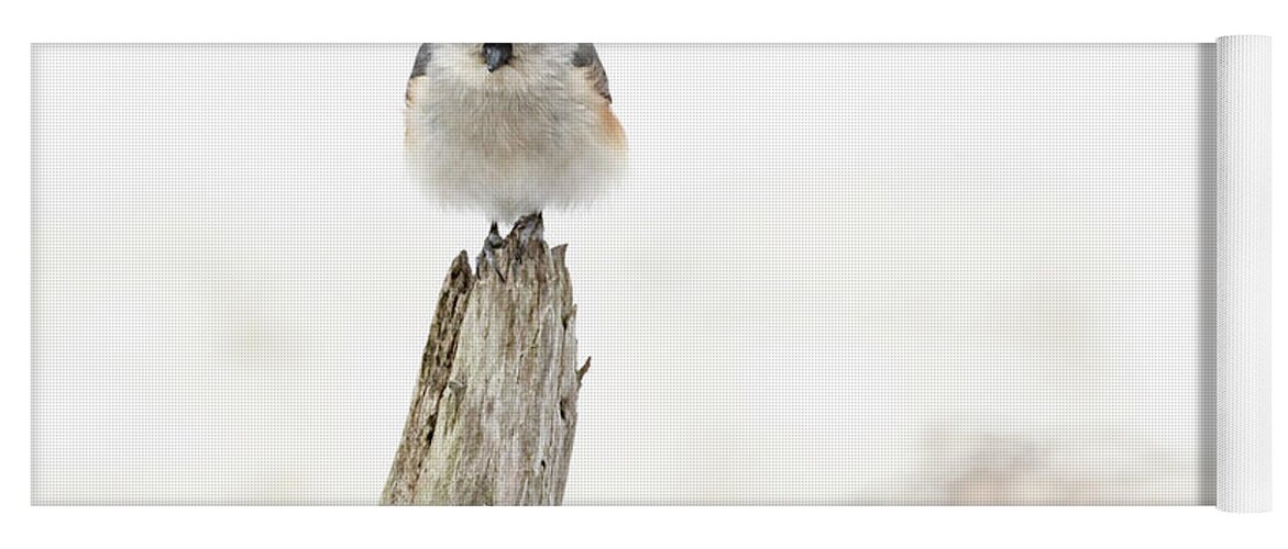 Bird Yoga Mat featuring the photograph Winter Visit by Holly Ross