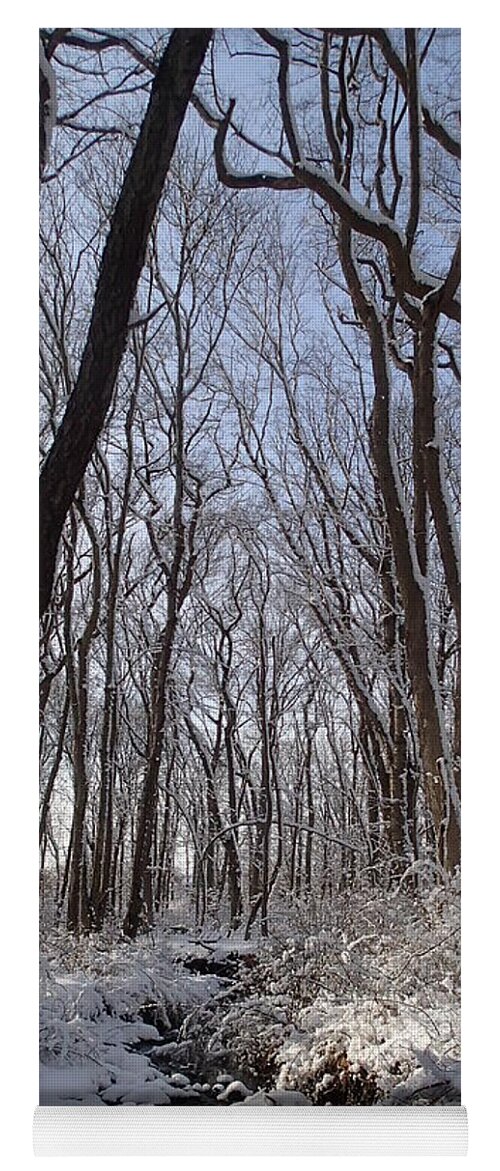 Nature Yoga Mat featuring the photograph Winter Woods 3 by Robert Nickologianis