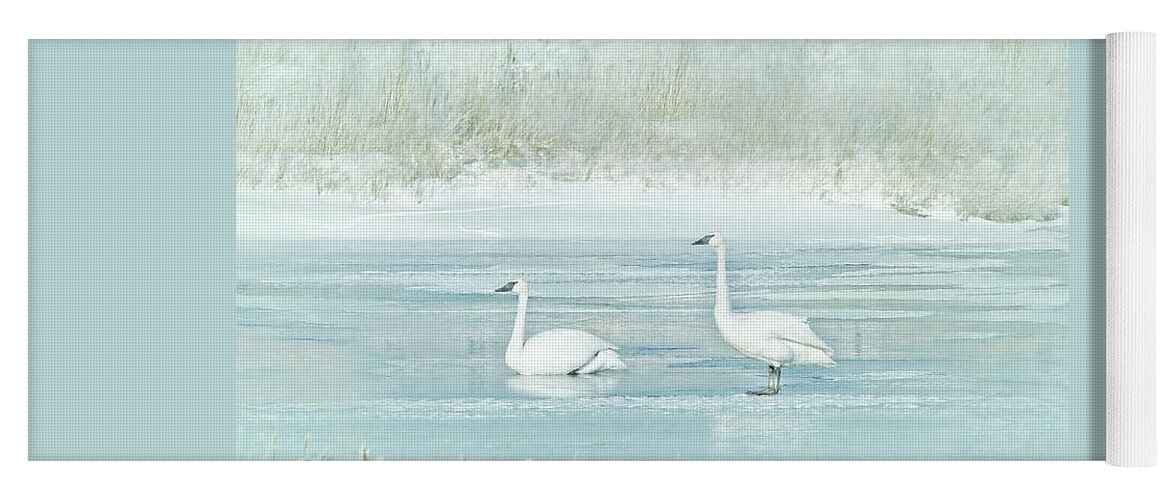 Trumpeter Swan Yoga Mat featuring the photograph Trumpeter Swan's Winter Rest Blue by Jennie Marie Schell