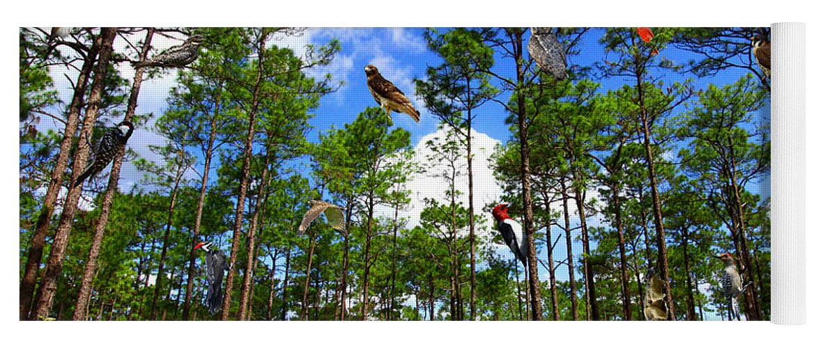 Withlacoochee State Forest Yoga Mat featuring the photograph Withlacoochee State Forest Nature Collage by Barbara Bowen