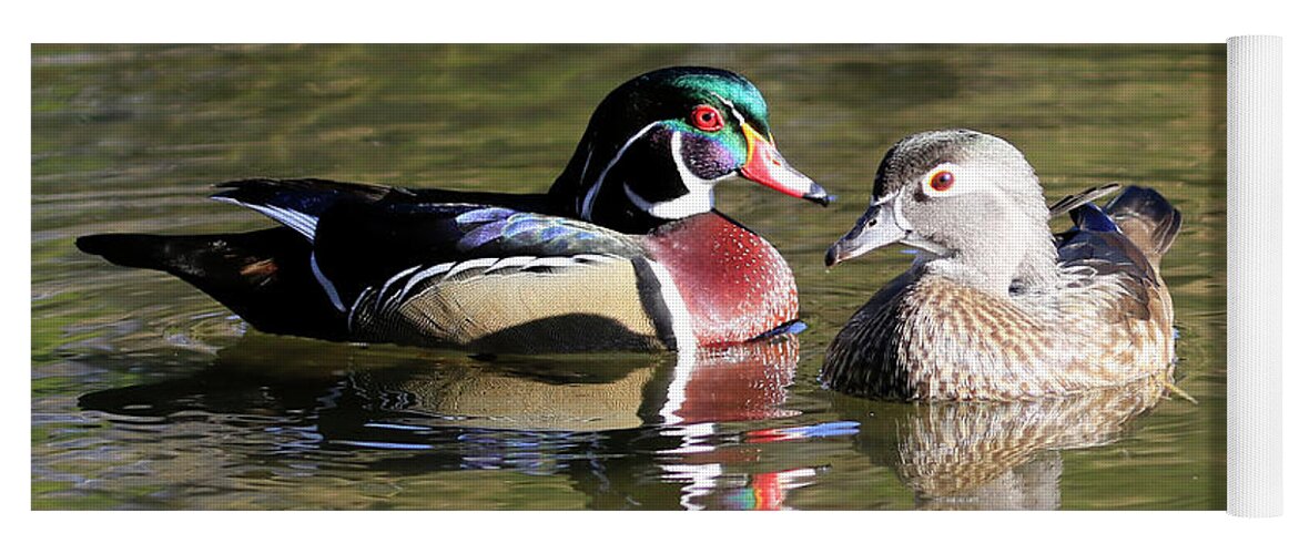 Wood Duck Yoga Mat featuring the photograph Wood Duck Drake and Hen by Steve McKinzie