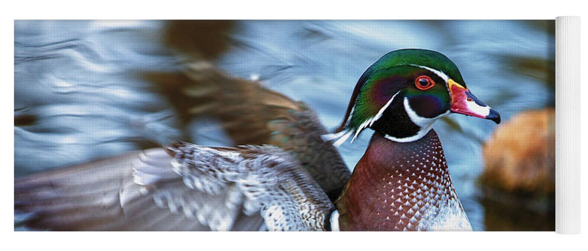 Wildlife Yoga Mat featuring the photograph Wood Duck Flap by Bill and Linda Tiepelman