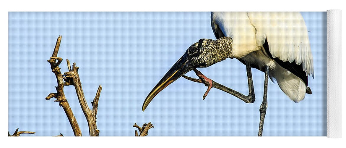 Wood Stork Yoga Mat featuring the photograph Wood Stork 2 by Ben Graham