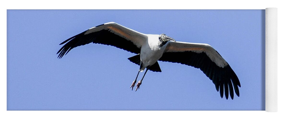 Birds Yoga Mat featuring the photograph Wood Stork by Gary Wightman