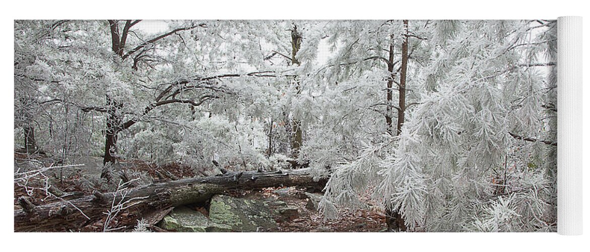 Frost Yoga Mat featuring the photograph Woodland Wonder by Mike Eingle