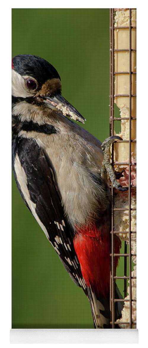 Woodpecker Yoga Mat featuring the photograph Woodpecker on feeder by Steev Stamford