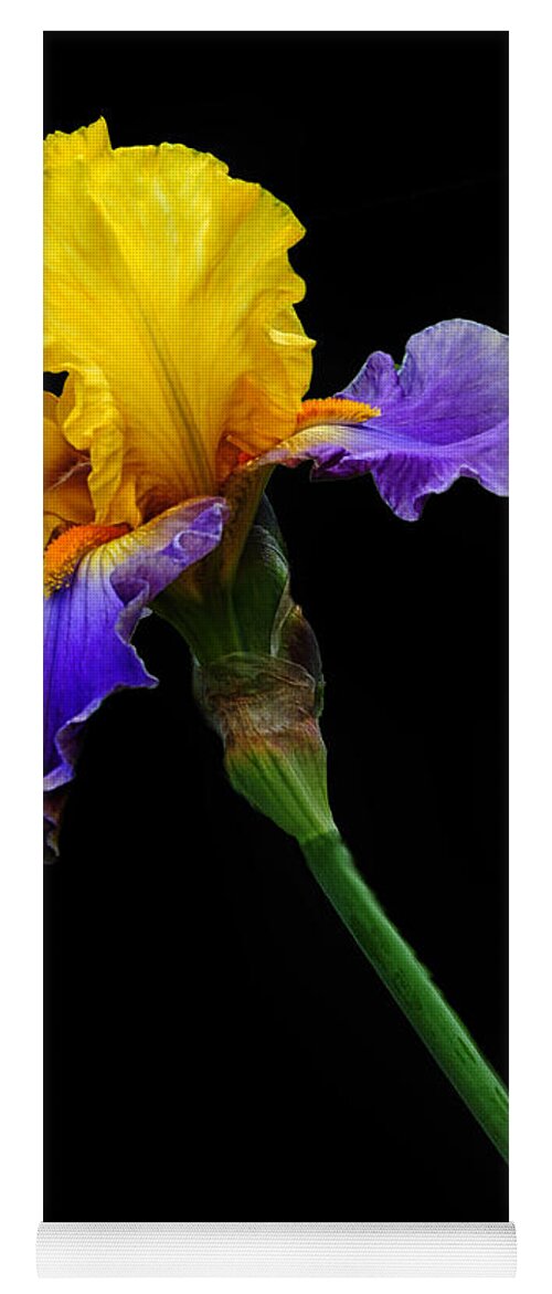 Iris Yoga Mat featuring the photograph Yellow Beauty by Dave Mills