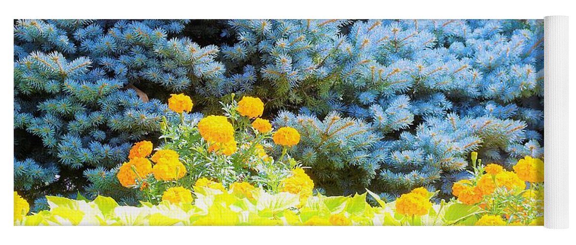 Trees Yoga Mat featuring the photograph Yellow, blue, orange by Merle Grenz