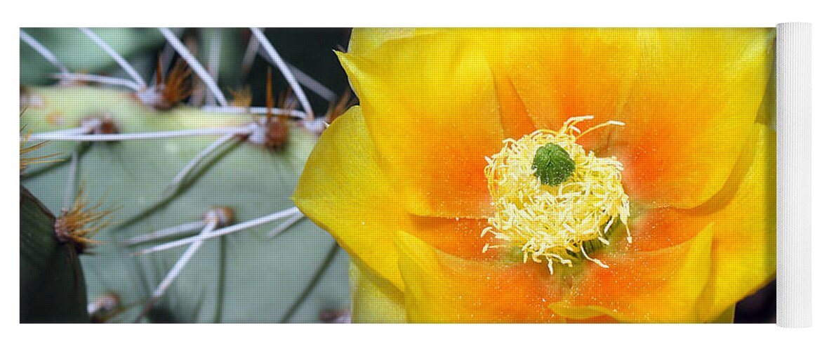 Yellow Flower Yoga Mat featuring the photograph Yellow Cactus Flower by Kelly Holm