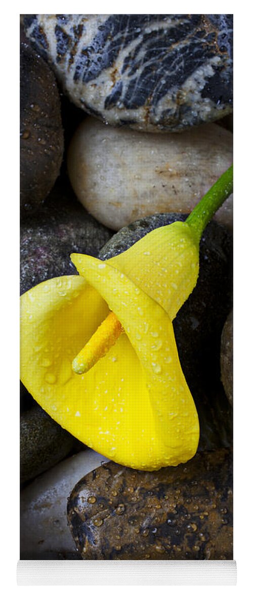 Yellow Yoga Mat featuring the photograph Yellow Calla Lily On Rocks by Garry Gay