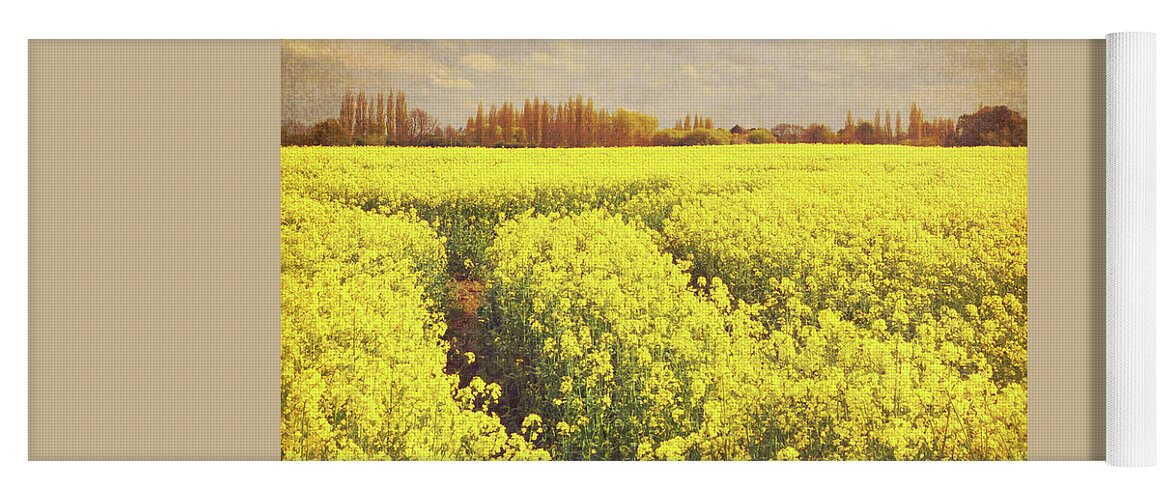 Yellow Yoga Mat featuring the photograph Yellow Field by Lyn Randle