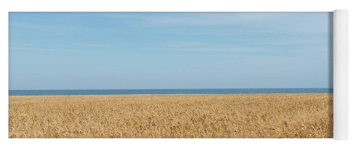 Background Yoga Mat featuring the photograph Yellow field, sea and blue sky by Michalakis Ppalis