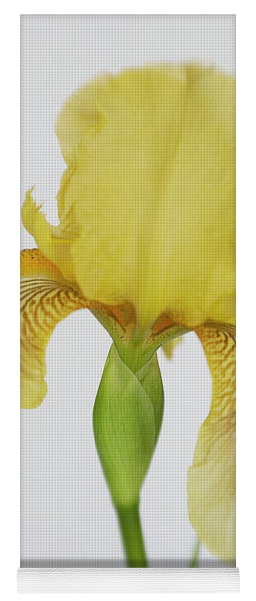 Bloom Yoga Mat featuring the photograph Yellow Iris a Symbol of Passion by David and Carol Kelly