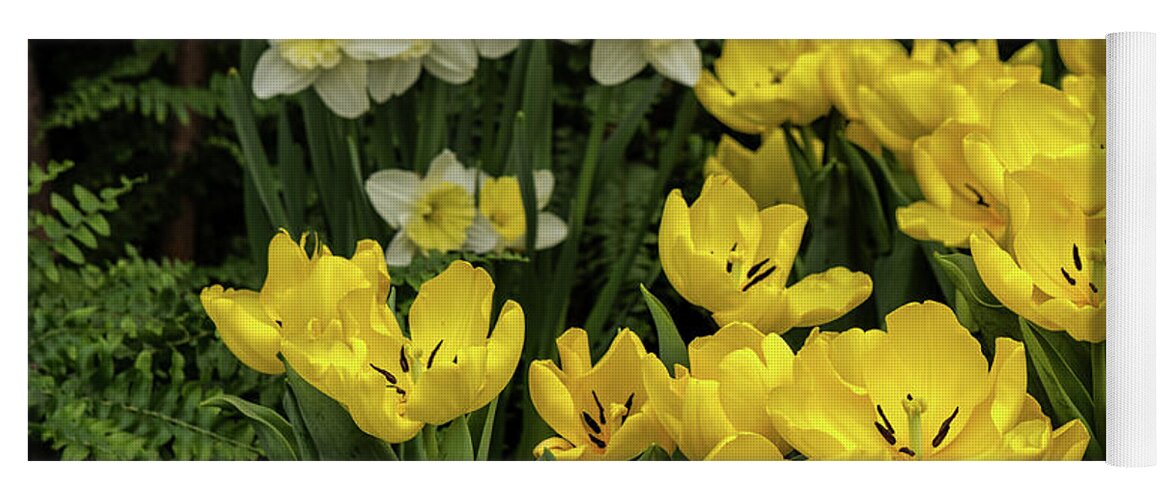 Flowers Yoga Mat featuring the photograph Yellow is for Spring by Nicki McManus