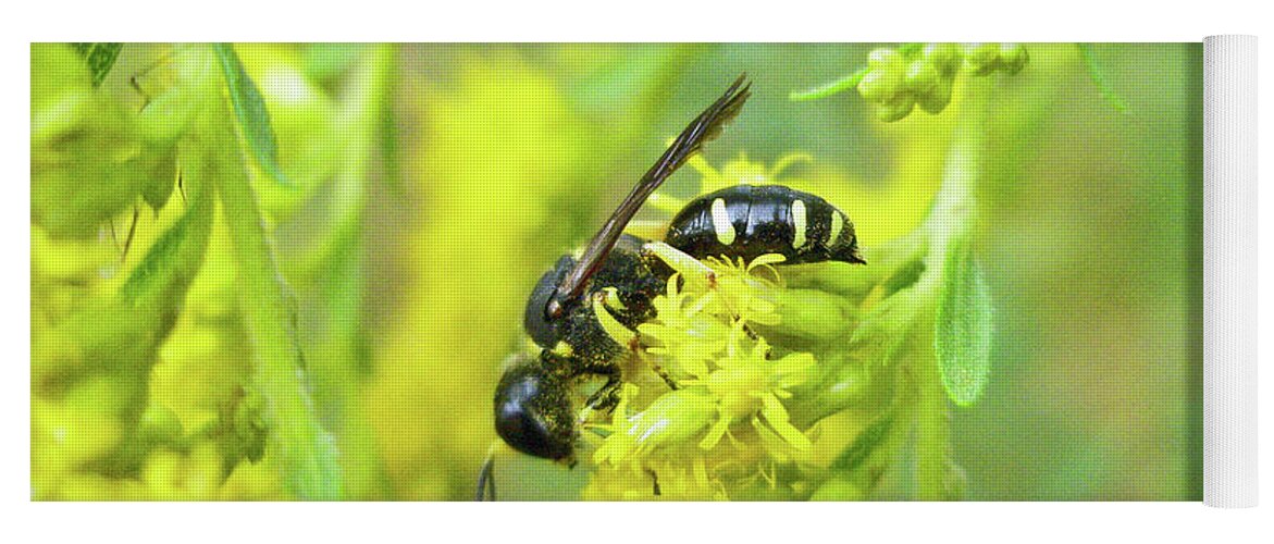 Wasp Yoga Mat featuring the photograph Yellow Jacket by Carol Senske