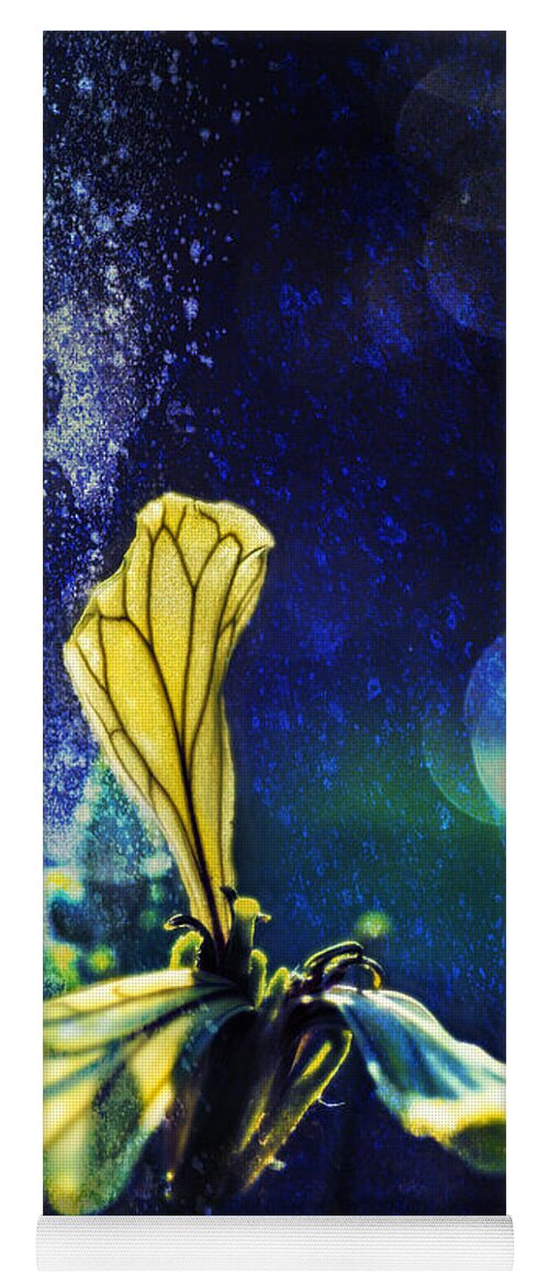 Botanical Yoga Mat featuring the photograph Yellow Leaflet on Blue by Peter V Quenter