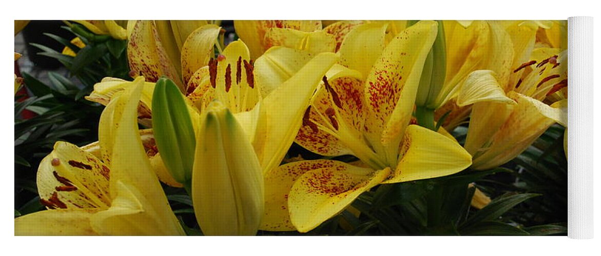 Yellow Lilies Yoga Mat featuring the photograph Yellow Lilies by Ee Photography
