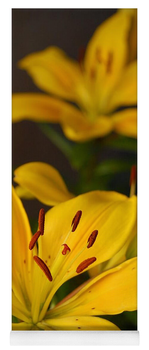 Flower Yoga Mat featuring the photograph Yellow Lily Mirror by Amy Fose