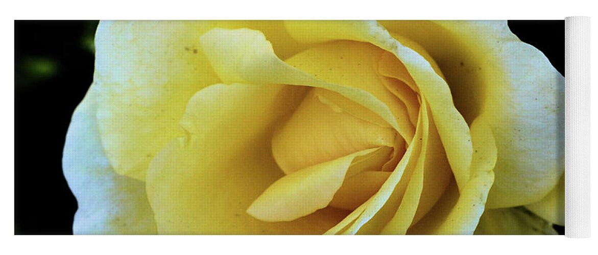 Flowers Yoga Mat featuring the photograph Yellow Rose by Charles HALL