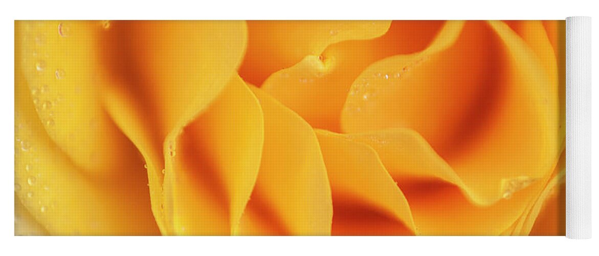 Flower Yoga Mat featuring the photograph Yellow rose of Texas by Usha Peddamatham