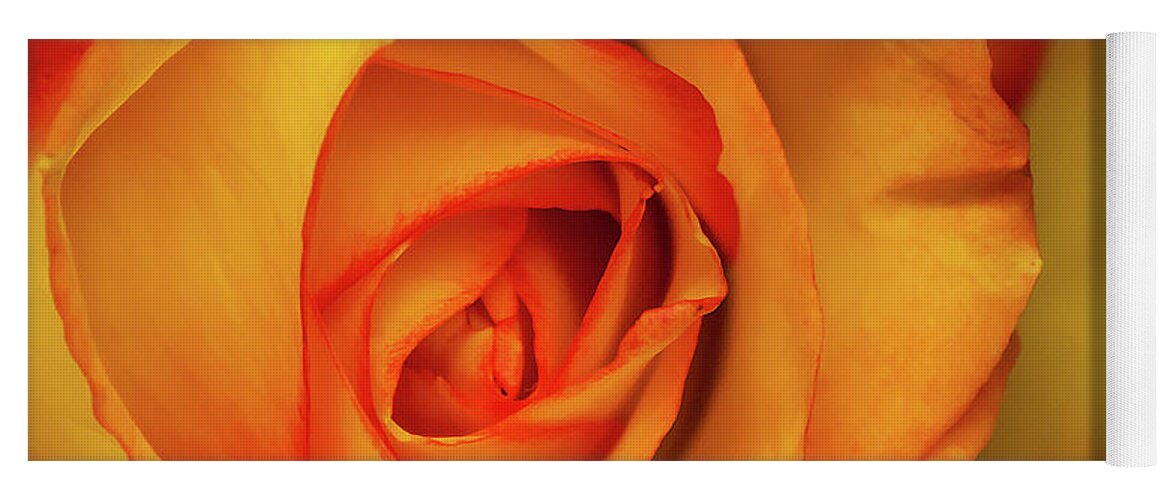 Bloom Yoga Mat featuring the photograph Yellow Rose by Ron Pate
