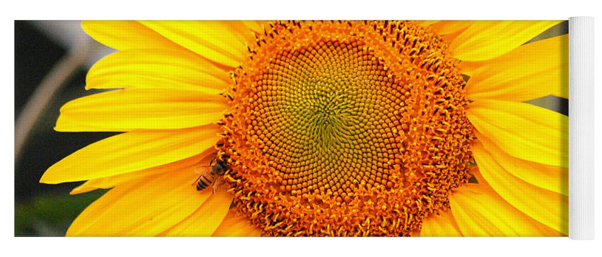 Sunflower Yoga Mat featuring the photograph Yellow Sunflower with bee by Amy Fose
