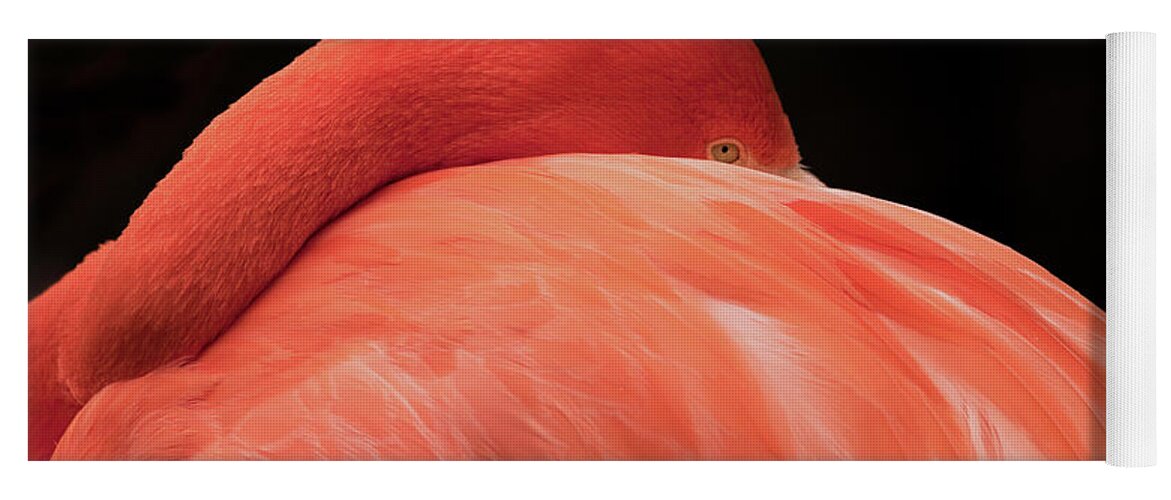Flamingo Yoga Mat featuring the photograph You Can Learn A Lot By Watching by Holly Ross