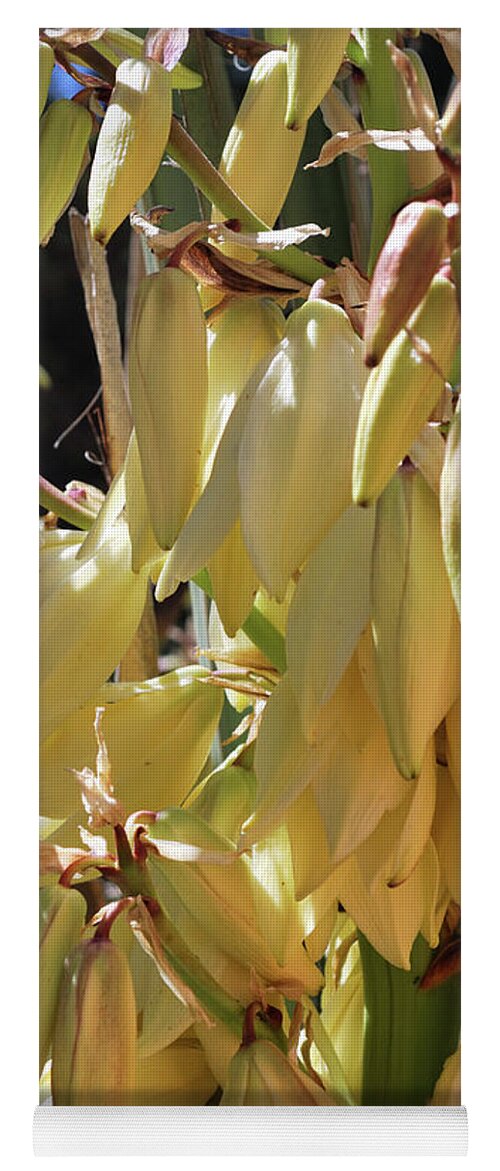 Nature Yoga Mat featuring the photograph Yucca Bloom II by Ron Cline