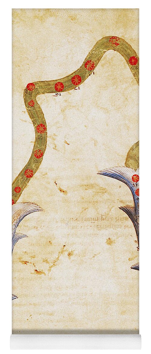 10th Century Yoga Mat featuring the photograph ZODIAC: PISCES, c1350 by Granger