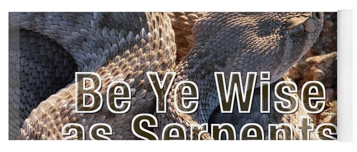 Adage Yoga Mat featuring the photograph Be Ye Wise as Serpents by Judy Kennedy
