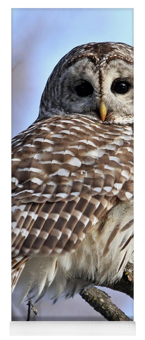 Barred Owl Yoga Mat featuring the photograph Beautiful Barred Owl #2 by Heather King
